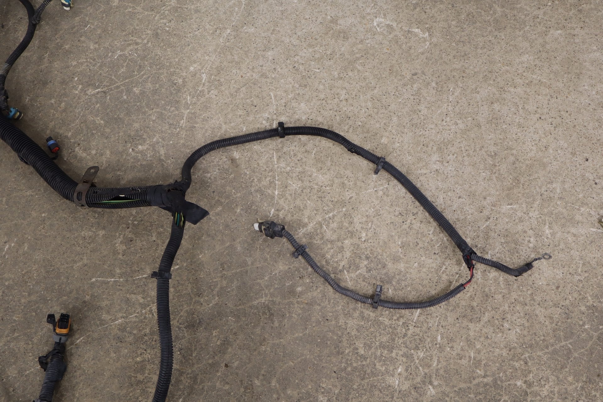 1997-2004 Chevrolet Corvette Manual Transmission Wiring Harness