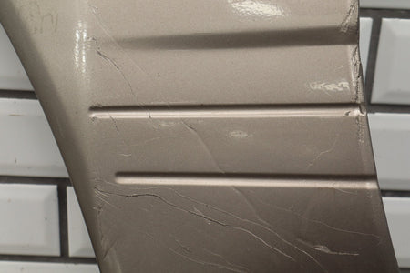 1998-2002 Lexus LX470 Left Fender Molding Cashmere Beige