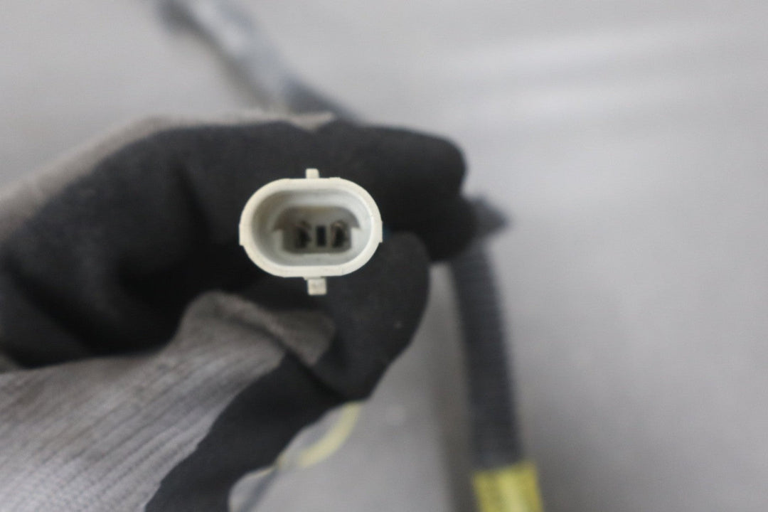 1998 - 2002 Pontiac Firebird - Taillight Wiring Harness
