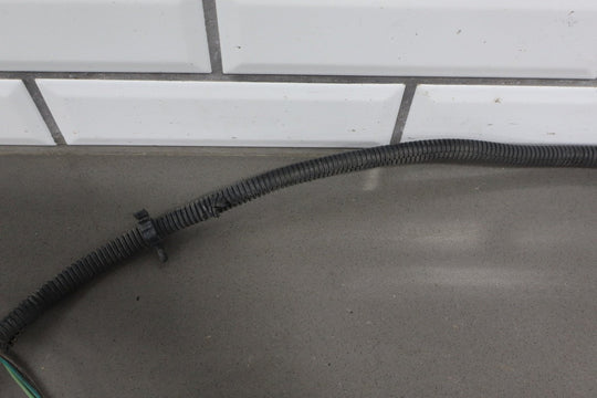 1998 - 2002 Pontiac Firebird - Taillight Wiring Harness
