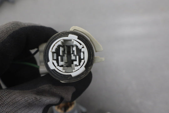 1998 - 2002 Pontiac Firebird - Taillight Wiring Harness