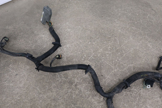 2000 C5 Corvette OEM Front Headlight Wiring Harness W/Fog Lights