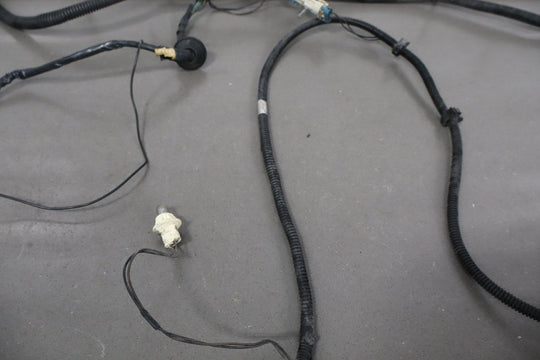 2000 Chevrolet Camaro Taillight Wiring Harness OEM