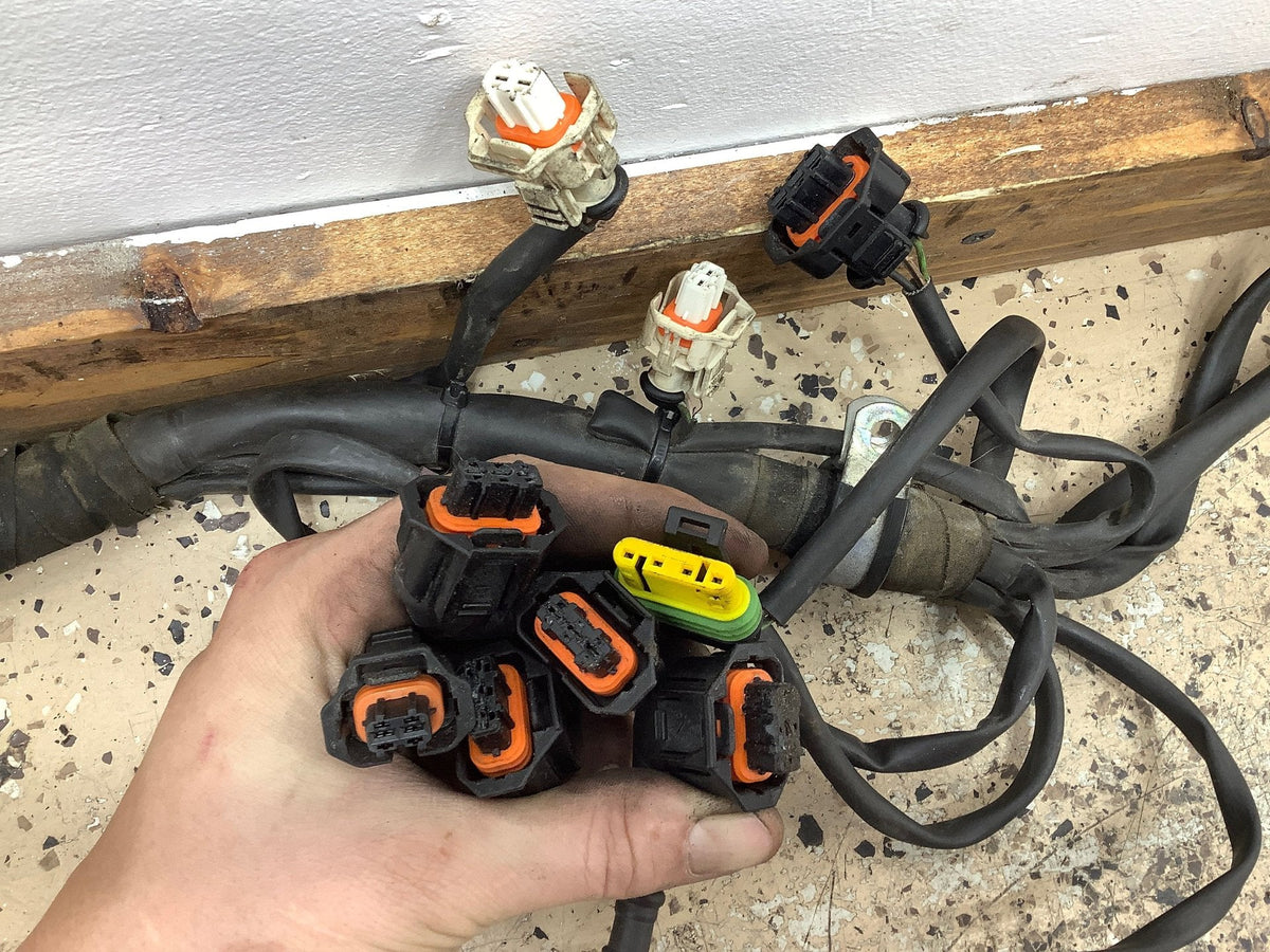 2000 FERRAR- Engine Wiring Harness