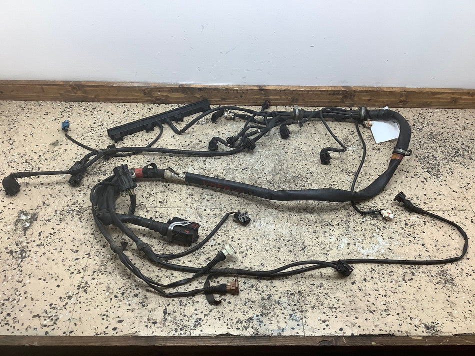 2000 FERRAR- Engine Wiring Harness