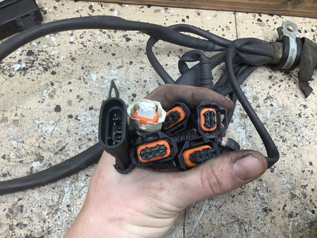 2000 FERRAR- Engine Wiring Harness