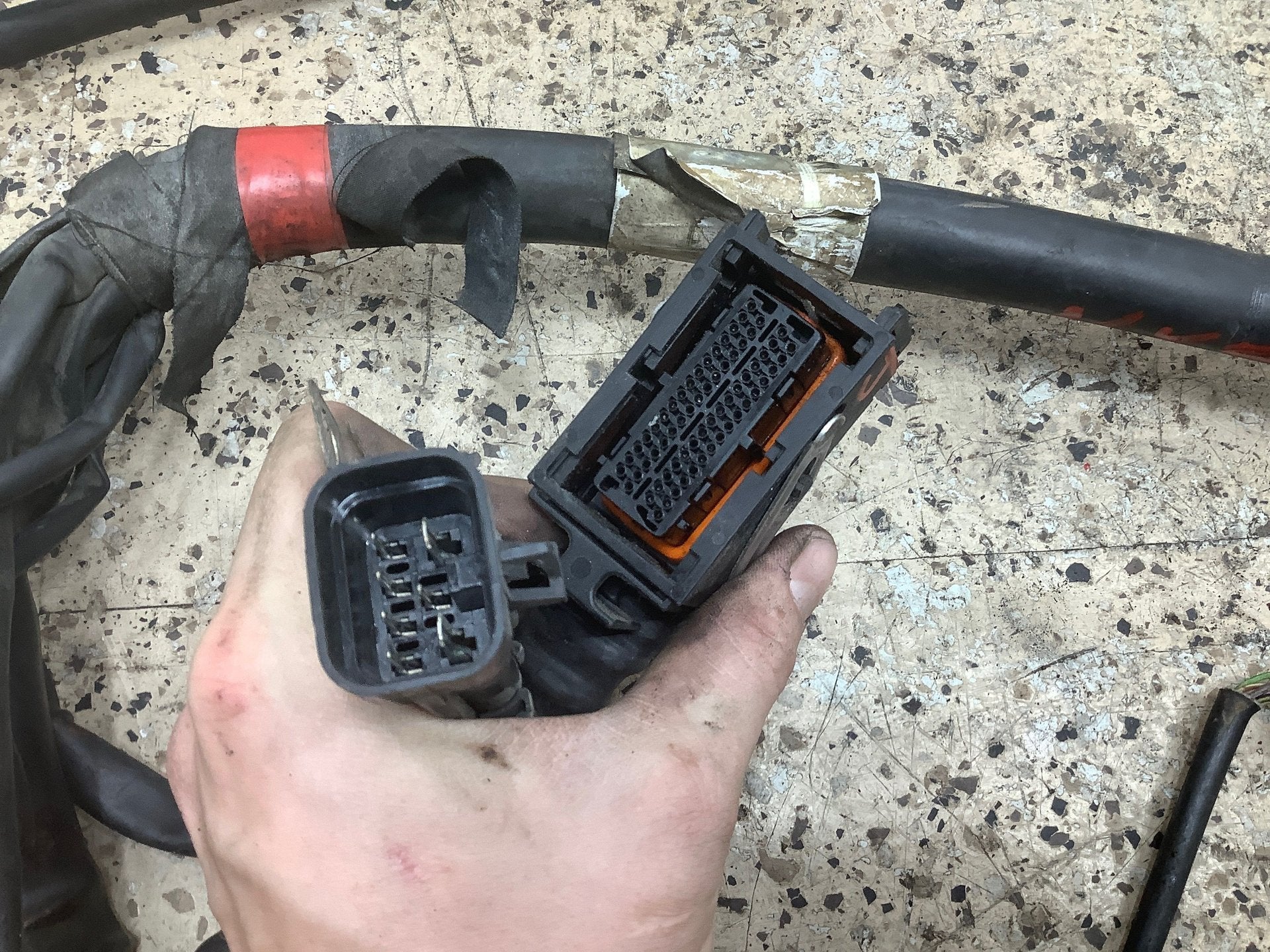 2000 FERRAR- Engine Wiring Harness