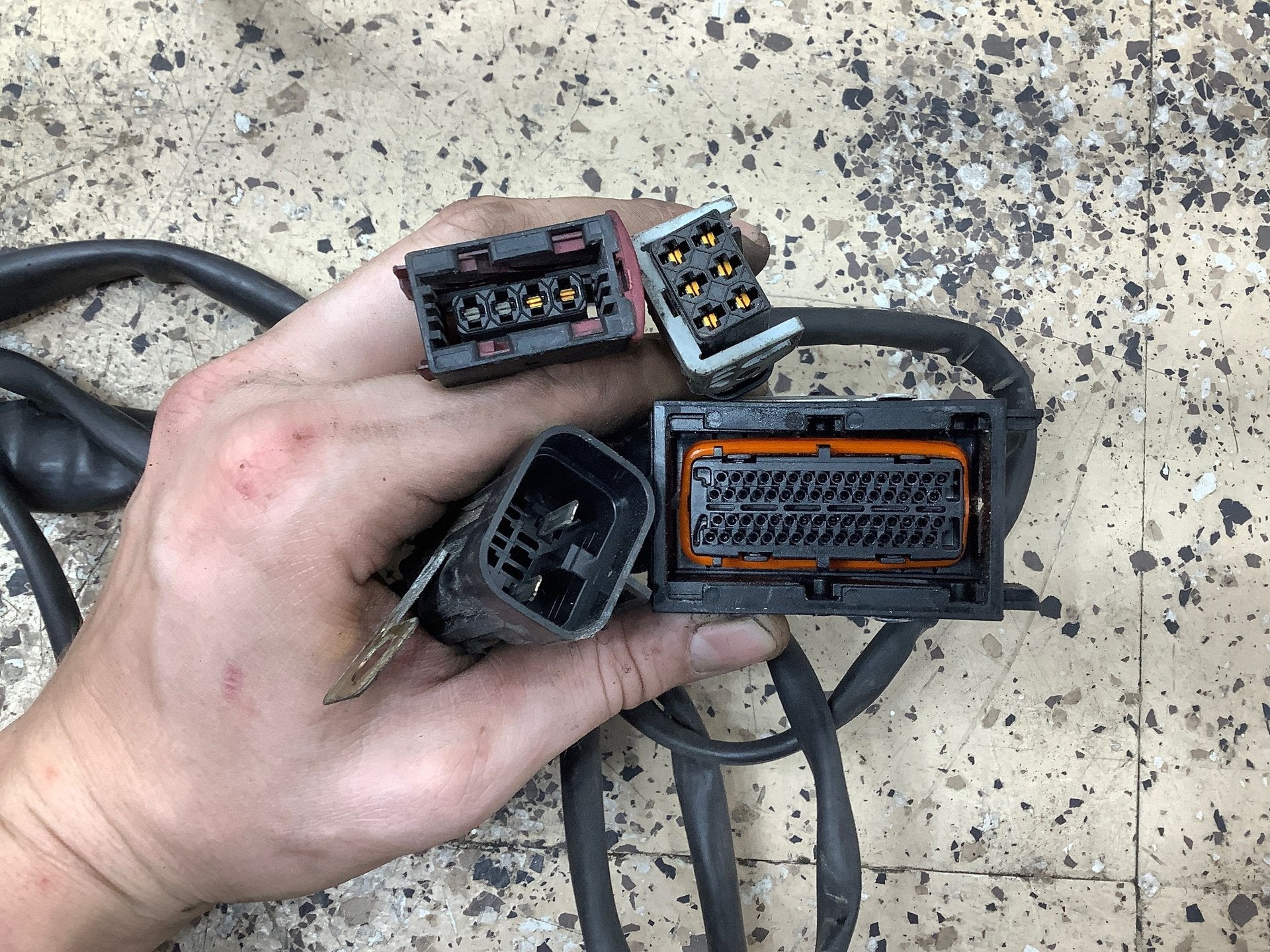 2000 FERRAR- Engine Wiring Harness