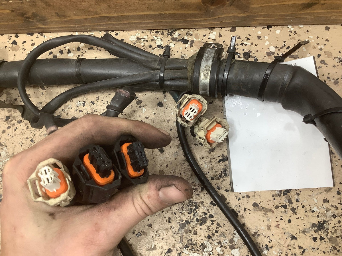 2000 FERRAR- Engine Wiring Harness