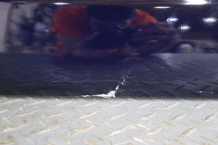 2001 Chrysler Prowler- Right Fender