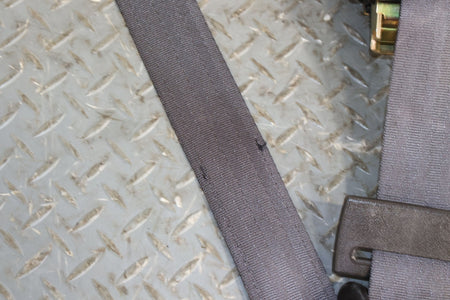 2002 Pontiac Firebird- Front Seat Belt