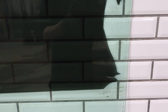 2003 - 2009 Hummer H2 Right Front Door Window