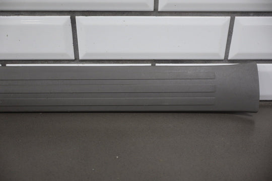 2003 - 2009 Toyota 4Runner N210 - Door Sill Plates (Stone 12)