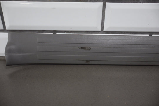 2003 - 2009 Toyota 4Runner N210 - Door Sill Plates (Stone 12)