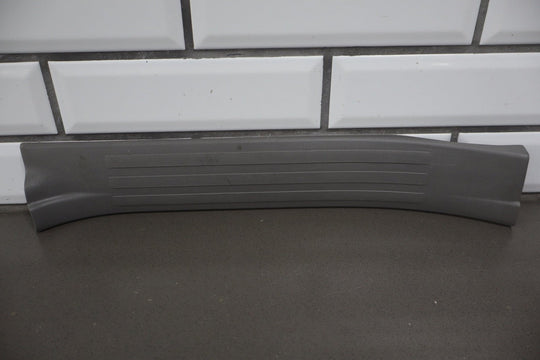 2003 - 2009 Toyota 4Runner N210 - Door Sill Plates (Stone 12)