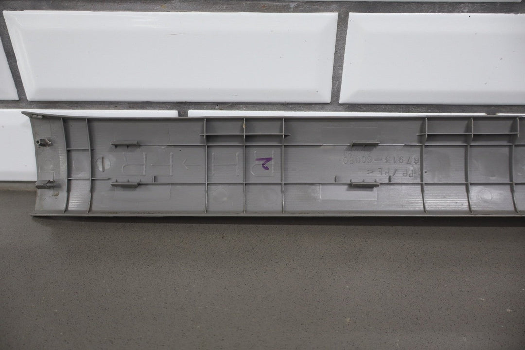2003 - 2009 Toyota 4Runner N210 - Door Sill Plates (Stone 12)