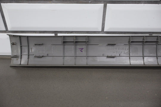 2003 - 2009 Toyota 4Runner N210 - Door Sill Plates (Stone 12)