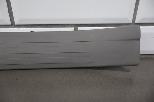 2003 - 2009 Toyota 4Runner N210 - Door Sill Plates (Stone 12)