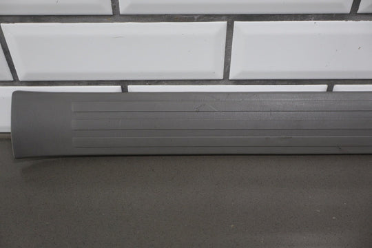 2003 - 2009 Toyota 4Runner N210 - Door Sill Plates (Stone 12)