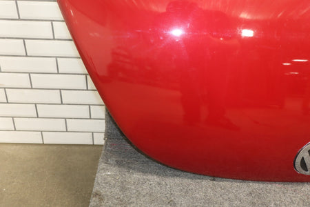 2003-2010 Volkswagen Beetle- Hood