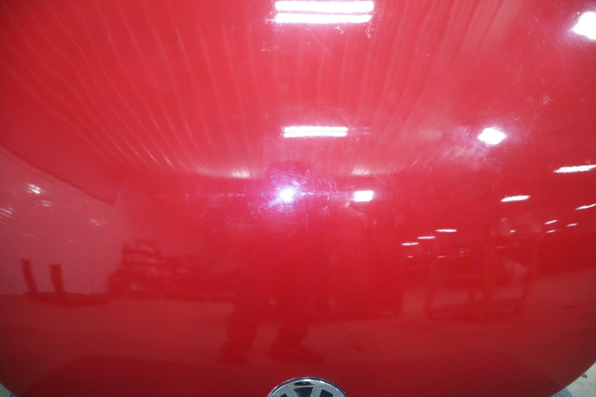 2003-2010 Volkswagen Beetle- Hood