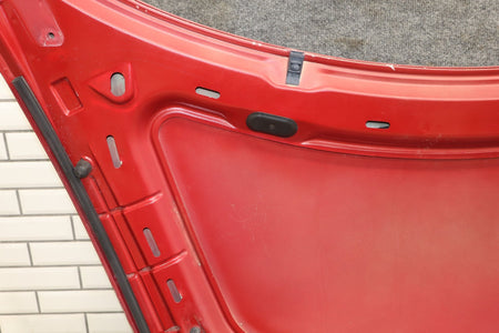 2003-2010 Volkswagen Beetle- Hood