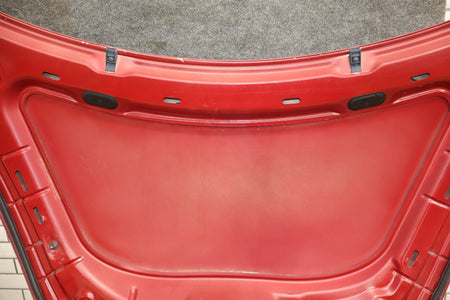 2003-2010 Volkswagen Beetle- Hood