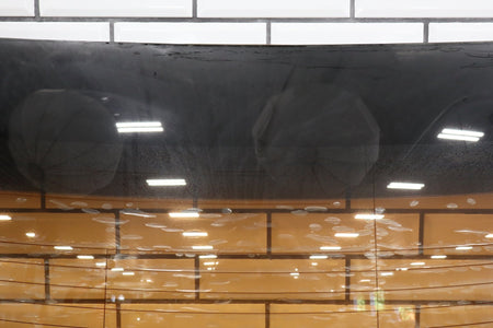 2004-2006 Pontiac GTO Back Window Glass