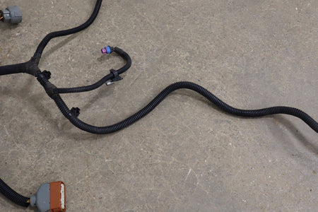 2005 Chevrolet Corvette C6 4L65E Automatic Transmission Wiring Harness