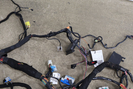 2005 Chevrolet Corvette Coupe Body Wiring Harness OEM