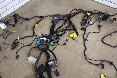 2005 Chevrolet Corvette Coupe Body Wiring Harness OEM