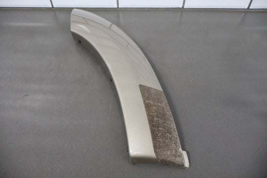 2005 Toyota Sequoia Right Rear Door Moulding OEM
