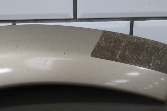 2005 Toyota Sequoia Right Rear Door Moulding OEM