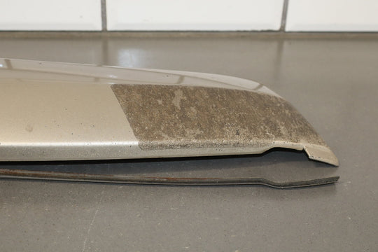 2005 Toyota Sequoia SR5 Left Rear Door Molding Taupe