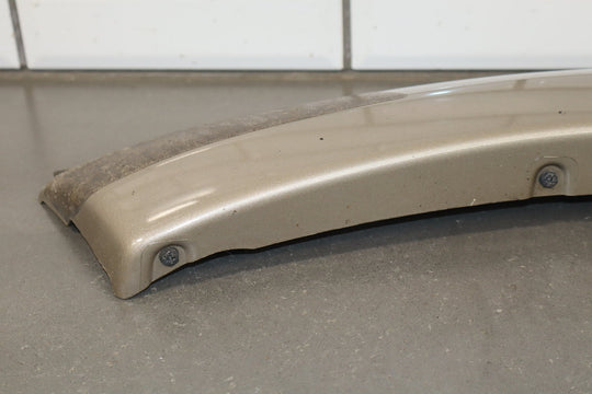 2005 Toyota Sequoia SR5 Left Rear Door Molding Taupe