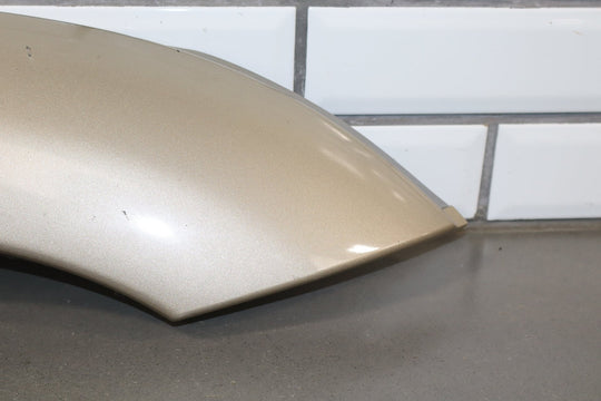 2005 Toyota Sequoia SR5 Left Rear Door Molding Taupe