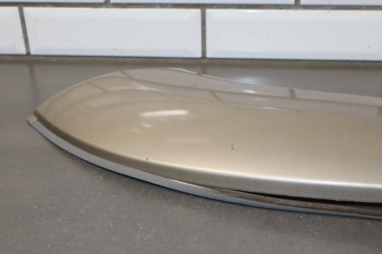 2005 Toyota Sequoia SR5 Left Rear Door Molding Taupe