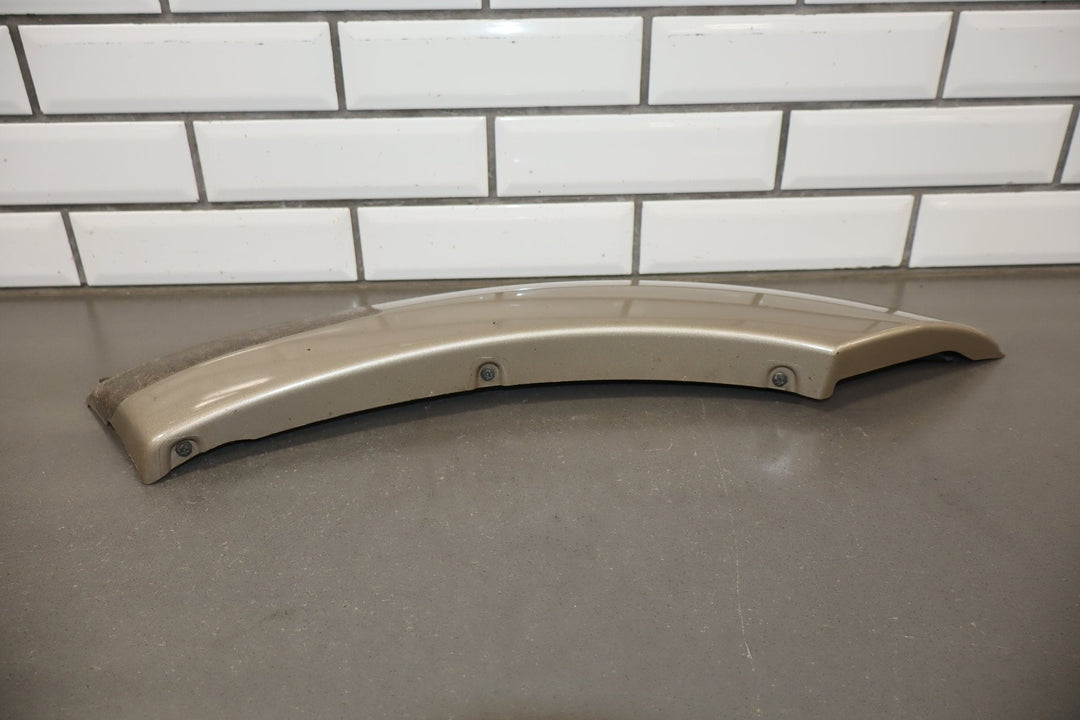 2005 Toyota Sequoia SR5 Left Rear Door Molding Taupe