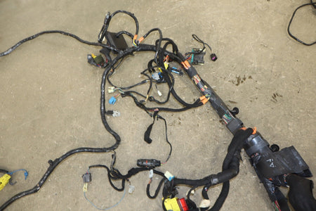 2006 Chevrolet Corvette C6 LS2 Body Wiring Harness