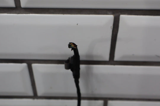 2006 Chevrolet Corvette Throttle Pedal Assembly 19417903