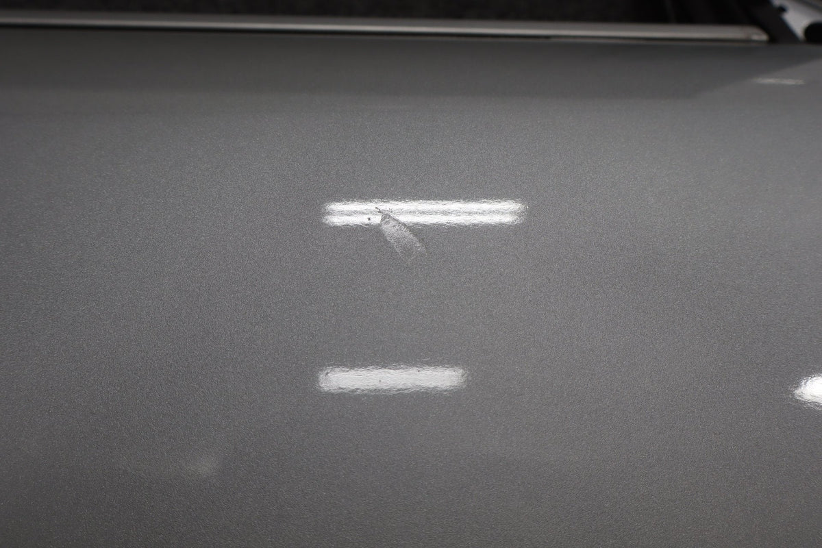 2007-2009 Jaguar XKR Right Front Door Liquid Silver MEE