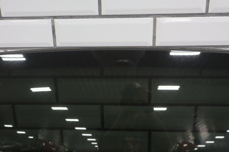2008-2010 Dodge Challenger Roof Glass OEM