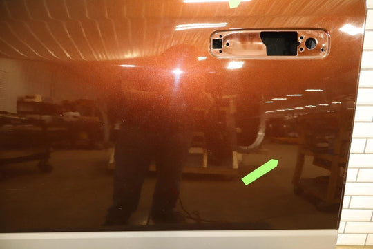 2009 - 2023 Ram 1500 Left Front Door Brown PEP