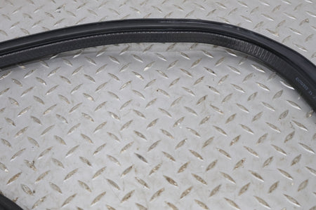 2010 Aston Martin V8 Vantage OEM Convertible Boot Cover Weather Stripping Seal