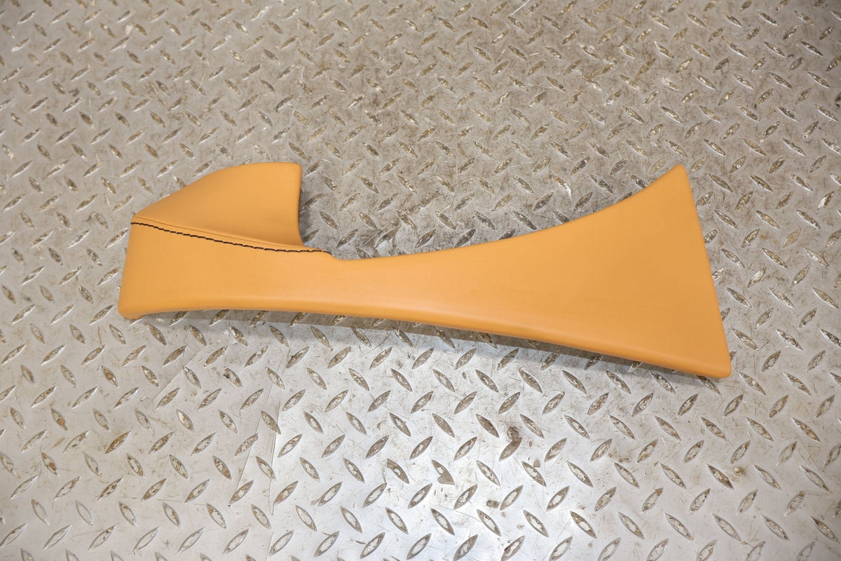 2010 ASTON- Trim Panel