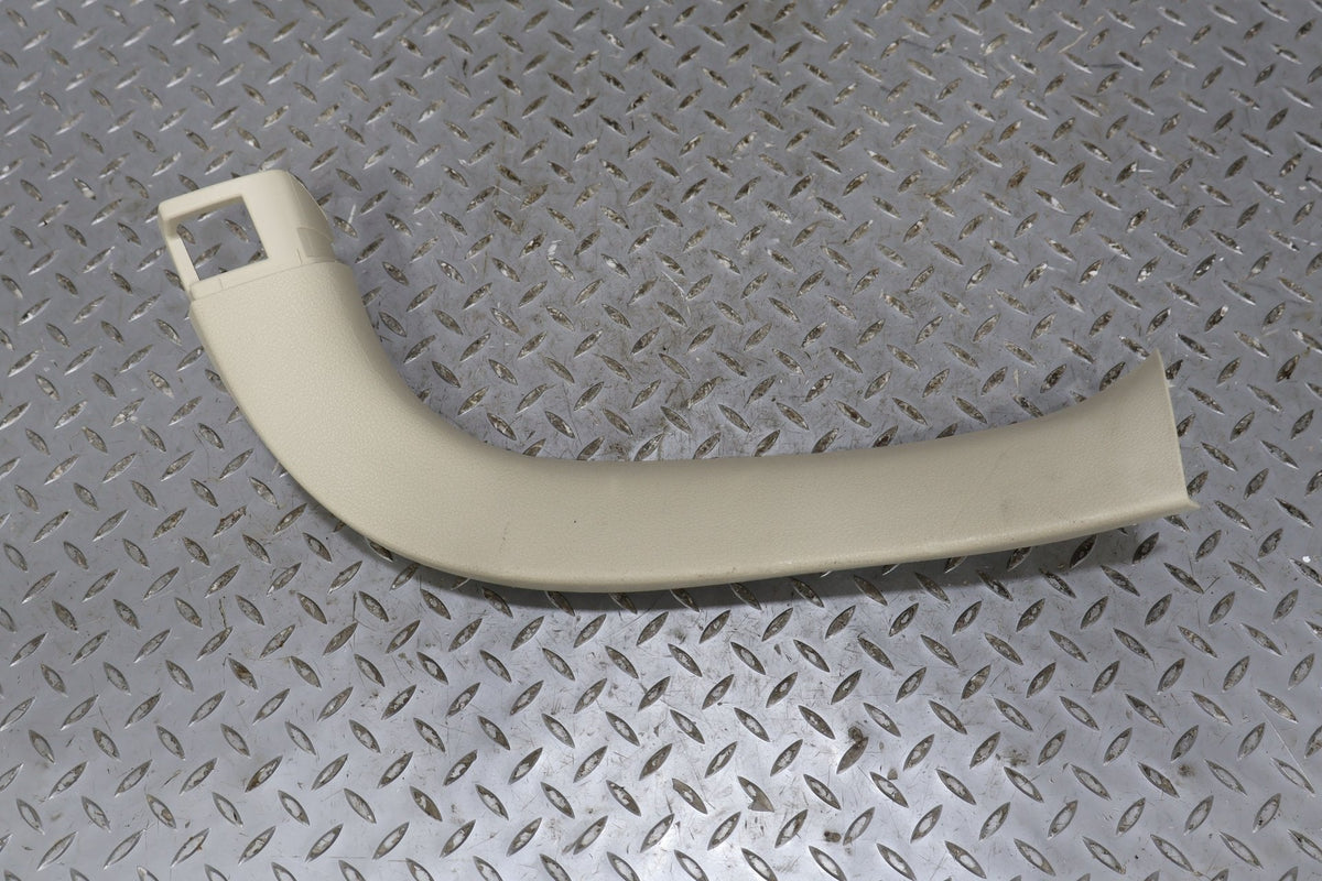 2010 Lexus GX460- Gate/Lid Trim Panel