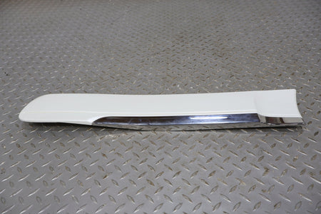 2010 Lexus GX460- REAR DOOR MOULDING