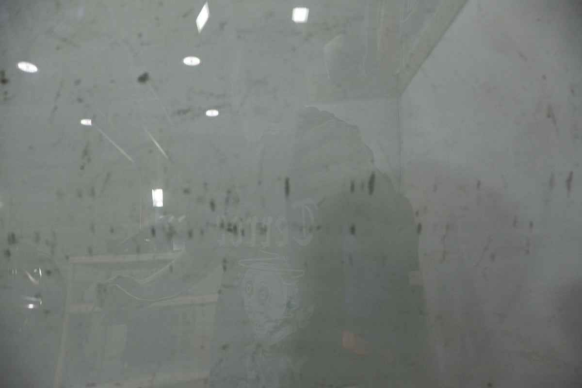 2011 Nissan Xterra- Right Front Door Window