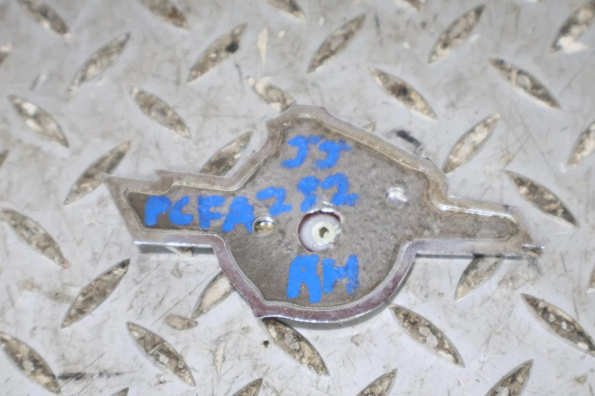 2012 Fiat 500- Emblem