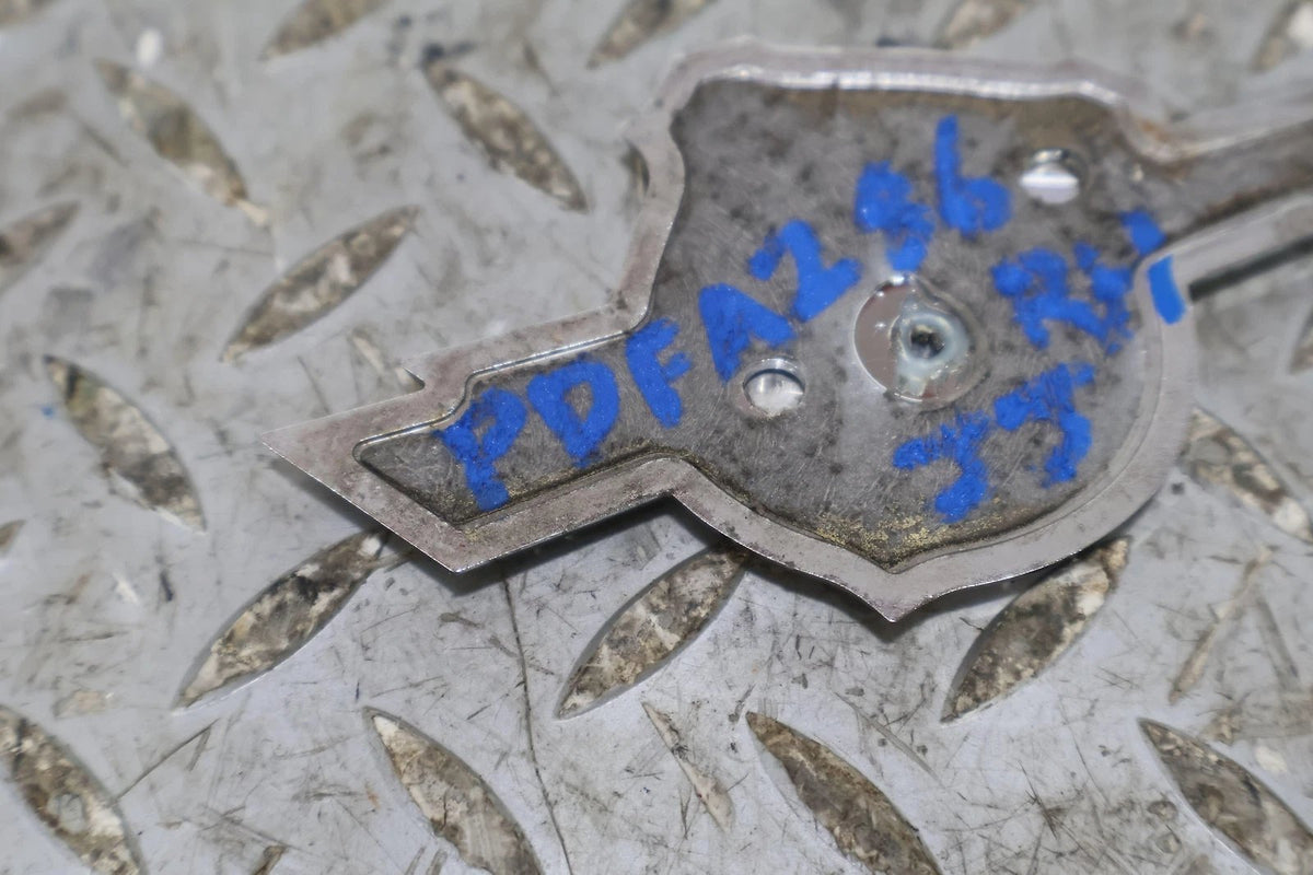2013 Fiat 500- Emblem